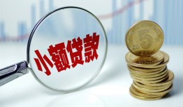 成都急用钱哪里可以小额贷款-成都急用钱哪里有民间借贷-成都急用钱民间短期私借借款